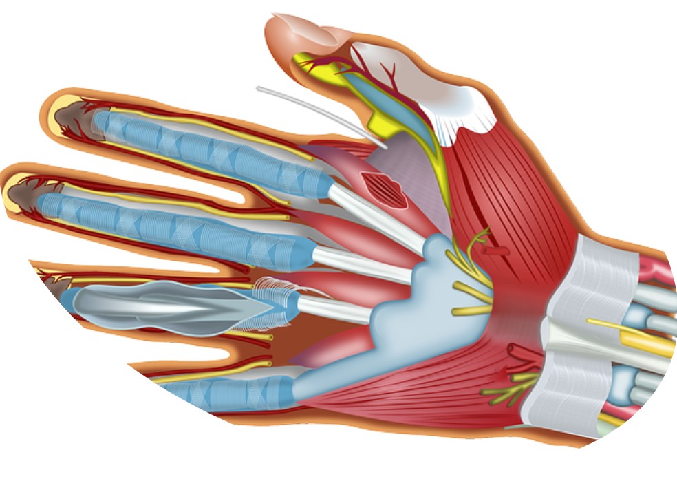 zespol ciesni nadgarstka